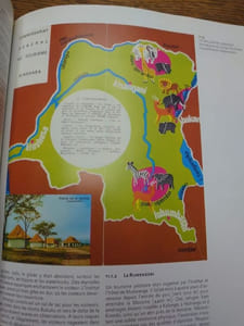 Virunga. Survie du premier parc d'Afrique. 