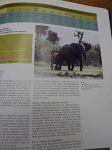 Virunga. Survie du premier parc d'Afrique. 