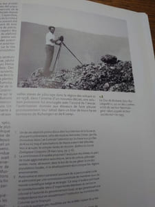 Virunga. Survie du premier parc d'Afrique. 