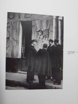 Brassai. Exposition Ludwig Muzeum Budapest - Kortars Muveszeti Muzeum. 2000/2001. . BRASSAI.