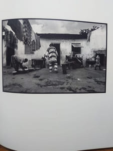 La légende de Domin et Zézé. Photographies de Philippe Bordas. Postface de Denis Escudier. 