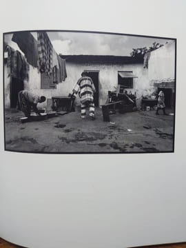 La légende de Domin et Zézé. Photographies de Philippe Bordas. Postface de Denis Escudier. . FREDERIC BRULY BOUABRE.