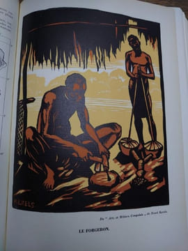 Encyclopédie du Congo belge. . MARCEL VAN DEN ABEELE.