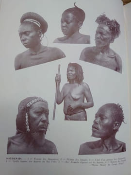 Encyclopédie du Congo belge. . MARCEL VAN DEN ABEELE.