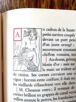L'Arche de Monsieur Cheunus..  DEMOLDER Eugène.