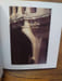 La Pierre dans l'oeuvre de Victor Horta. Photographies contemporaines de Jacques Evrard. . EVRARD Jacques. 