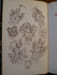 Armorial de Tournai et du Tournaisis. Texte et Dessins. . BOZIERE Fr.-J. 