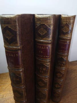 Les essais de Michel de Montaigne. Donnez sur les plus anciennes et les plus correctes editions : Augmentez de plusieurs Lettres de l'Auteur ; & où ...