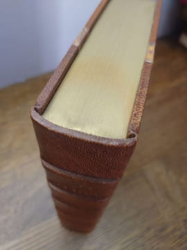 La gloire de Don Ramire. Une vie au temps de Philippe II. Traduit de l'espagnol par Rémy de Gourmont. Portrait de l'auteur gravé par P.-E. Vibert. . ...