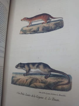 Oeuvres complètes de Buffon, suivies de ses continuateurs Daubenton, Lacépède, Cuvier... Seule édition complète avec figures coloriées. . BUFFON ...