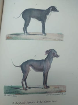 Oeuvres complètes de Buffon, suivies de ses continuateurs Daubenton, Lacépède, Cuvier... Seule édition complète avec figures coloriées. . BUFFON ...