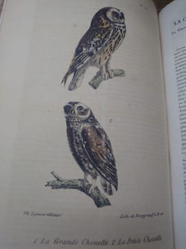 Oeuvres complètes de Buffon, suivies de ses continuateurs Daubenton, Lacépède, Cuvier... Seule édition complète avec figures coloriées. . BUFFON ...