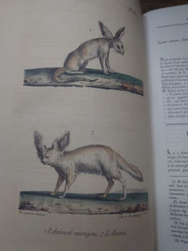 Oeuvres complètes de Buffon, suivies de ses continuateurs Daubenton, Lacépède, Cuvier... Seule édition complète avec figures coloriées. . BUFFON ...