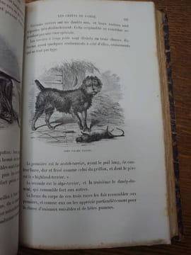 Histoire physiologique et anecdotique des chiens de toutes les races. Préface et postface par Alexandre Dumas. . REVOIL Bénédict-Henry.