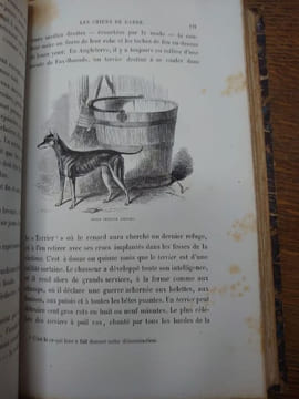Histoire physiologique et anecdotique des chiens de toutes les races. Préface et postface par Alexandre Dumas. . REVOIL Bénédict-Henry.