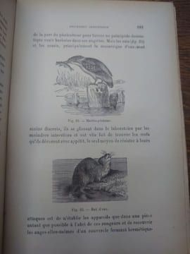 La truite domestique. Production rationnelle des salmonidés en eaux fermées. Incubation. Alimentation. Vente et débouchés.. BLANCHON H.-L.-A.