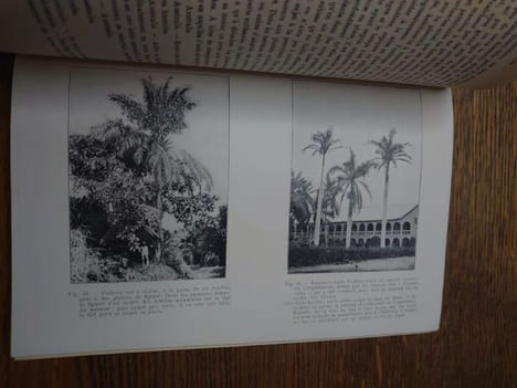 Catalogue des plantes du Jardin d'Essais de la Mission de Kisantu (Congo Belge). . GILLET Just. 