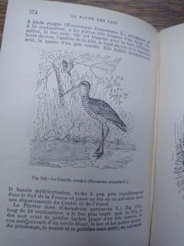 Faune des lacs, des étangs et des marais. 20 planches coloriées et 225 figures. . GERMAIN L. 