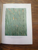 Les fleurs des marais, lacs et &eacute;tangs. 95 planches colori&eacute;es. . CAMUS A. 