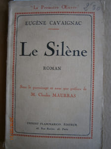 Le silence. Roman.