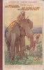 Le filleul de l'éléphant.. MARIEL Pierre 