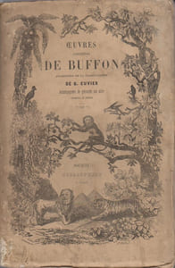 Oeuvres complètes de Buffon augmentées de la classification de G. Cuvier. Tome 6 seul. Sans gravures.