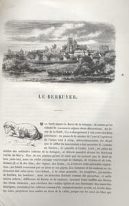 Les Français peints par eux-mêmes. Le Berruyer.