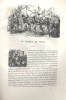 Les Français peints par eux-mêmes. Le griset du Midi.. LES FRANCAIS PEINTS PAR EUX-MÊMES - DAURIAC Eugène Gravure sur bois hors texte, illustration ...