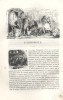 Les Français peints par eux-mêmes. Le missionnaire.. LES FRANCAIS PEINTS PAR EUX-MÊMES - DELORD Taxile 2 gravures sur bois hors texte, illustrations ...