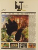 BAT Magazine N° 152. A la poursuite du Dino vert.. BAT MAGAZINE 