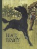 Black beauty.. SEWELL Anna Cover by Don Irwin. Illustrated by Michael Rios.