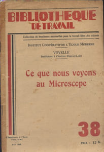Ce que nous voyons au microscope.