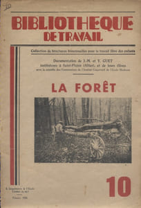 La forêt.