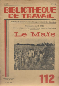 Le maïs.
