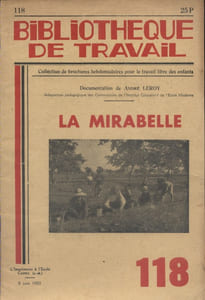 La mirabelle.
