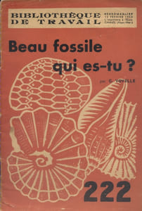 Beau fossile, qui es-tu ? Guide de détermination (les onglets du haut des pages n'ont pas été découpés.).