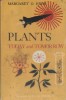 Plants today and tomorrow.. HYDE Margaret O. Illustrted by P.A. Hutchinson.