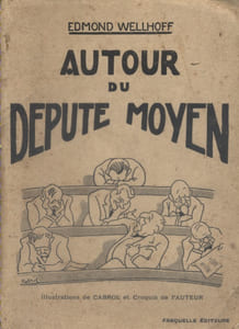 Autour du député moyen.