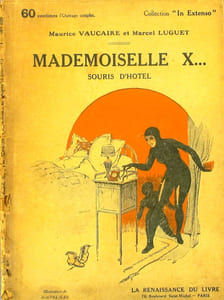 Mademoiselle X… souris d'hôtel. Roman.