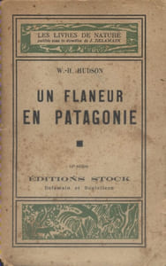 Un flâneur en Patagonie.