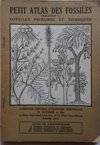 Petit atlas des fossiles. Fascicule I : Fossiles primaires et triassiques.