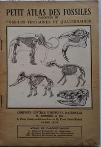 Petit atlas des fossiles. Fascicule III : Fossiles tertiaires et quaternaires.