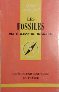Les fossiles.