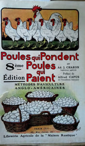 Poules qui pondent, poules qui paient. Méthodes d'aviculture anglo-américaines.