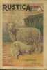 Rustica. 1951 : 24e année. N° 49. En couverture : L'agnelage d'hiver. Journal universel de la campagne.. RUSTICA 1951 