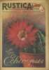 Rustica. 1952 : 25e année. N° 43. En couverture : Les Echinopsis. Journal universel de la campagne.. RUSTICA 1952 