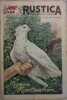 Rustica. 1951 : 24e année. N° 44. En couverture : Le pigeon Montauban. Journal universel de la campagne.. RUSTICA 1951 
