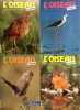 L'Oiseau Magazine. Année 1992 complète. Numéros 26 à 29. Revue de la ligue française pour la protection des oiseaux.. L'OISEAU MAGAZINE 1992 