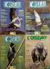L'Oiseau Magazine. Année 1996 complète. Numéros 42 à 45. Revue de la ligue française pour la protection des oiseaux.. L'OISEAU MAGAZINE 1996 