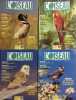 L'Oiseau Magazine. Année 1997 complète. Numéros 46 à 49. Revue de la ligue française pour la protection des oiseaux.. L'OISEAU MAGAZINE 1997 